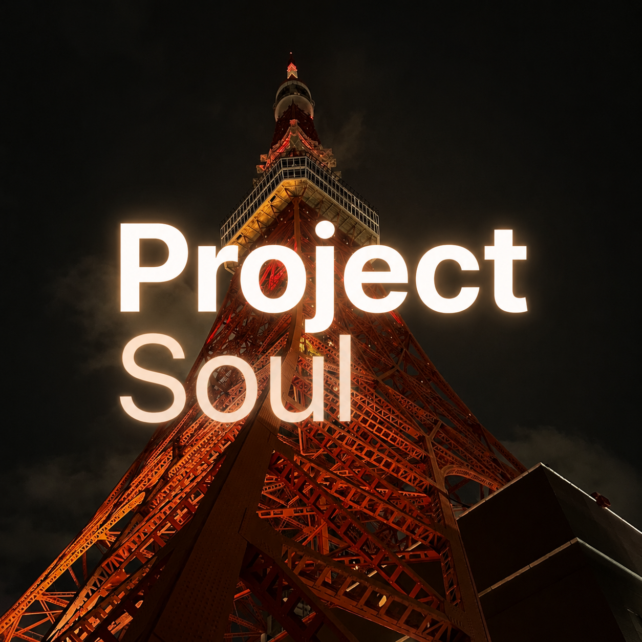 Project Soul